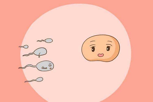 赴泰国试管婴儿有风险吗？女人做试管会影响寿命吗？