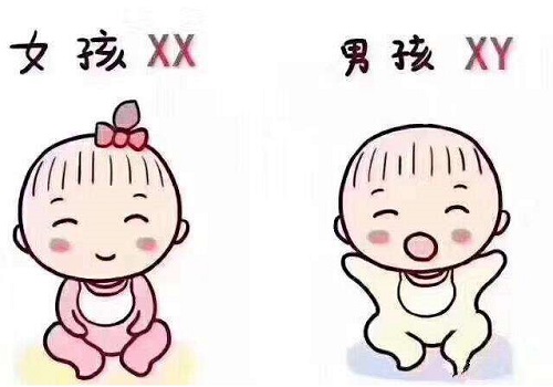 试管婴儿成功率是如何统计的？