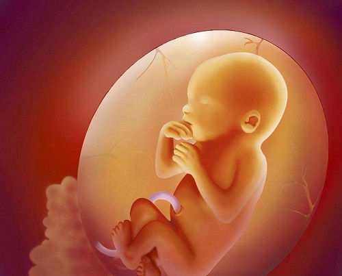 俄罗斯第三代试管婴儿常见辅助生殖的手段有哪些