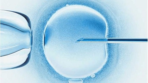 试管婴儿靠哪些因素能成功？