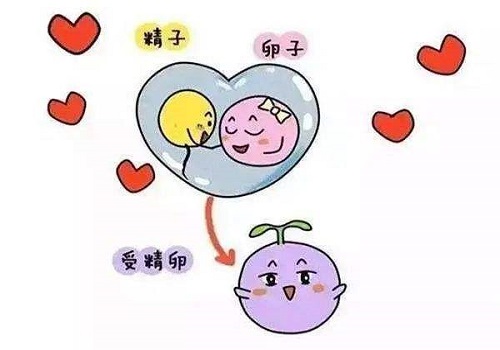 从母婴安全与技术操作视角解读美国试管婴儿魅力