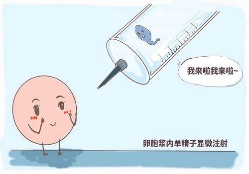 输卵管性不孕育 美国试管婴儿成功率有多大？