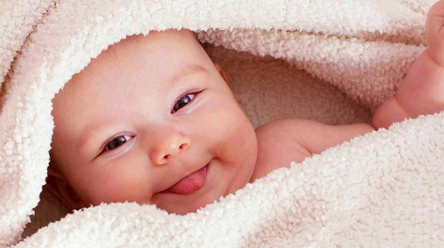 试管婴儿取卵数量越多成功率越高吗？