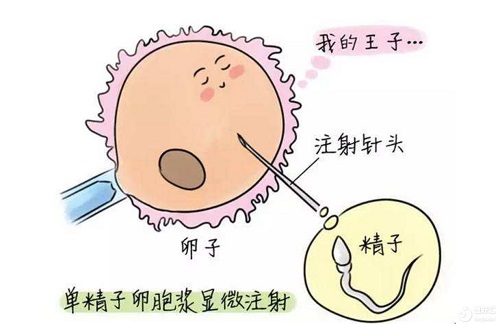 从三大健康问题探讨：美国试管促排卵环节的科学性