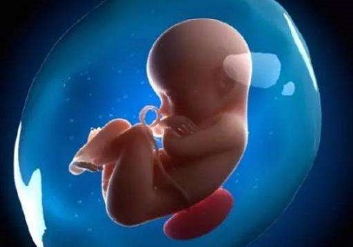 做美国试管婴儿比较容易成功的几类人群，你在其中吗？