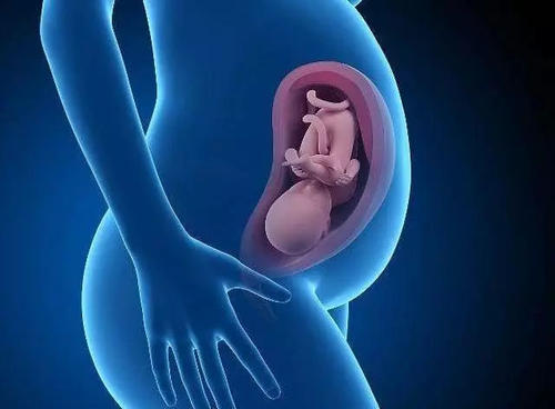 试管婴儿多少钱一次？怎么能便宜点？