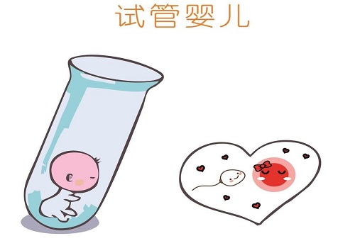 试管婴儿如何拥有高质量卵子？攻略来了！