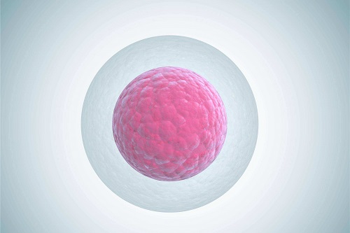 美国试管婴儿可以避免胚胎染色体15号三体吗？