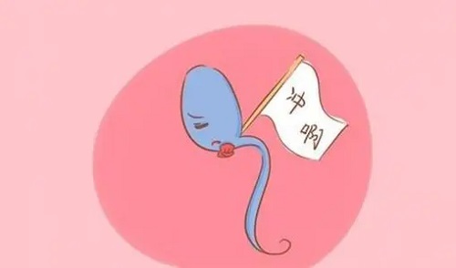 单角子宫去美国做试管婴儿，能移植吗？