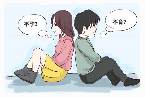 保障美国试管婴儿成功率 囊胚的作用不可小看