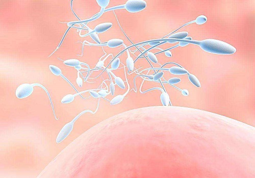 美国试管婴儿会加速女性卵巢功能衰退吗？