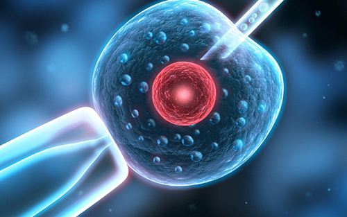 美国试管婴儿周期中“马赛克胚胎”是什么？这类胚胎可以移植吗？