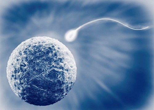美国试管婴儿单胚移植的三个原因，成功率如何保障？_2
